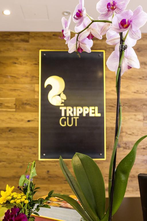 Hotel Trippelgut - Schlafgut Feldkirchen in Kärnten Esterno foto